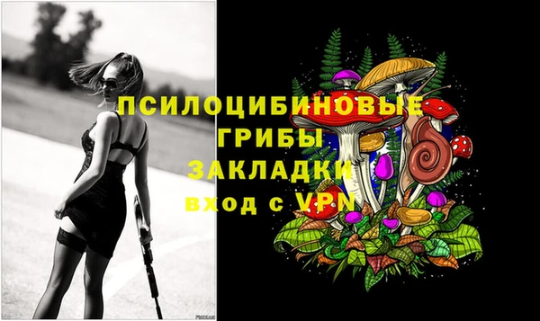 хмурый Абинск
