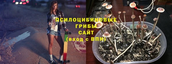 хмурый Абинск